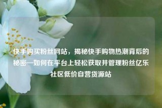 快手购买粉丝网站，揭秘快手购物热潮背后的秘密—如何在平台上轻松获取并管理粉丝亿乐社区低价自营货源站