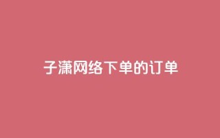 子潇网络下单的订单 - 黑科技引流工具快手
