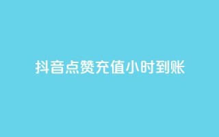抖音点赞充值24小时到账 - dy24h自助下单商城