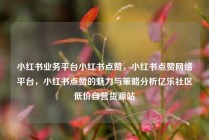 小红书业务平台小红书点赞，小红书点赞网络平台，小红书点赞的魅力与策略分析亿乐社区低价自营货源站