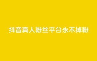 抖音真人粉丝平台 永不掉粉,qq云商城网站 - 拼多多帮砍助力网站便宜 - 暑假赚钱项目拼多多助力项目