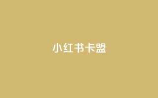 小红书卡盟 - 小红书卡盟的使用指南与注意事项!