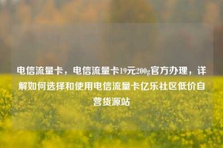 电信流量卡，电信流量卡19元200g官方办理，详解如何选择和使用电信流量卡亿乐社区低价自营货源站