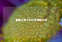 有用流量卡的监控摄像头吗