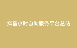 抖音24小时自助服务平台总站 - 抖音全天候自助服务平台一站式解决方案！
