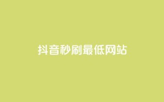 抖音秒刷最低网站 - 抖音秒刷服务最低价网站推荐！
