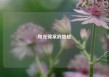 和光锦棠府地址
