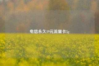 电信永久19元流量卡5g