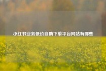小红书业务低价自助下单平台网站有哪些