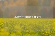 小红书1万粉丝收入多少钱