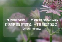 一手货源低价商品，一手货源低价商品怎么卖，打造您的独家购物体验，一手货源低价商品亿乐社区SUP货源站