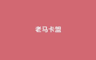老马卡盟 - 老马卡盟：提升网站SEO效果的有效工具。