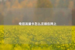 电信流量卡怎么注销在网上
