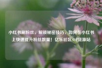 小红书刷粉丝，解锁秘密技巧，如何在小红书上快速提升粉丝数量！亿乐社区SUP货源站