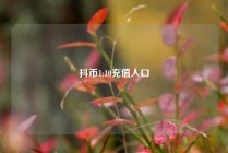 抖币1:10充值入口