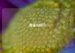 直客与同行