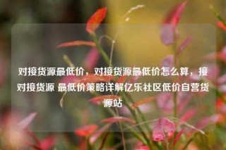 对接货源最低价，对接货源最低价怎么算，接对接货源 最低价策略详解亿乐社区低价自营货源站
