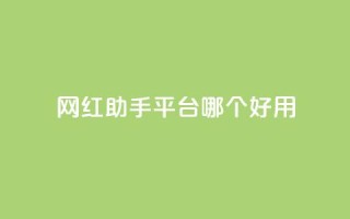 网红助手平台哪个好用,ks刷亲密度 - 快手自助业务网 - 万能卡盟