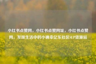 小红书点赞网，小红书点赞网址，小红书点赞网，发现生活中的小确幸亿乐社区SUP货源站