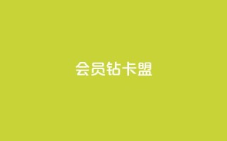 QQ会员钻卡盟,网红商城24小时下单平台 - 卡盟低价qq业务自助下单 - 拼多多充抖音为什么还贵点