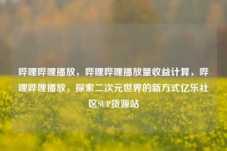 哔哩哔哩播放，哔哩哔哩播放量收益计算，哔哩哔哩播放，探索二次元世界的新方式亿乐社区SUP货源站