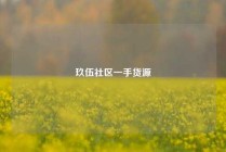 玖伍社区一手货源