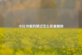 小红书里的赞过怎么批量删除