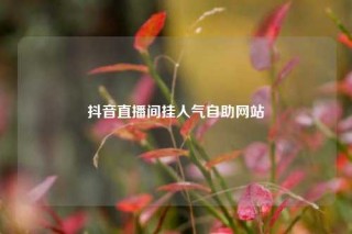 抖音直播间挂人气自助网站
