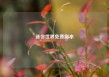 迷你世界免费脚本