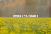 电信流量卡怎么注销在网上