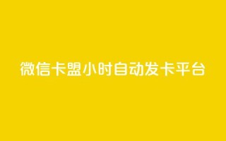 微信卡盟24小时自动发卡平台 - 微信卡盟：稳定发卡平台  24小时自动发卡，快速、便捷的购卡体验。