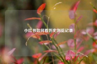 小红书如何看历史浏览记录