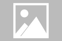 张德芹：茅台本身就包含着我们的文化基因和文化表达，所以走向世界是必然的