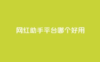 网红助手平台哪个好用,抖音免费点赞业务平台 - qq黄钻网站便宜 - 穿越火线自助下单网站