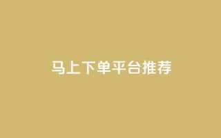 马上下单平台推荐 - 卡盟超低价小马梦