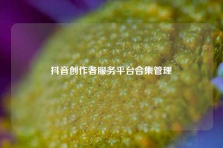 抖音创作者服务平台合集管理