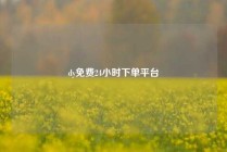 dy免费24小时下单平台
