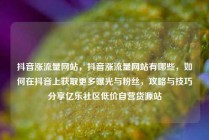 抖音涨流量网站，抖音涨流量网站有哪些，如何在抖音上获取更多曝光与粉丝，攻略与技巧分享亿乐社区低价自营货源站