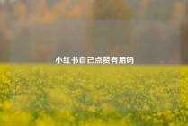 小红书自己点赞有用吗