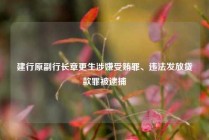 建行原副行长章更生涉嫌受贿罪、违法发放贷款罪被逮捕