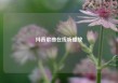 抖音歌曲在线听播放