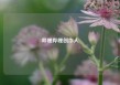哔哩哔哩创作人