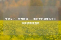 生命至上，全力救援——贵州大方县果瓦乡山体滑坡现场直击