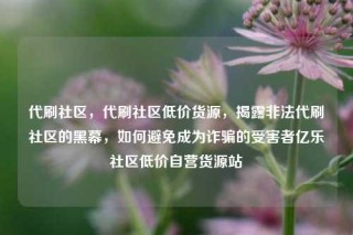 代刷社区，代刷社区低价货源，揭露非法代刷社区的黑幕，如何避免成为诈骗的受害者亿乐社区低价自营货源站