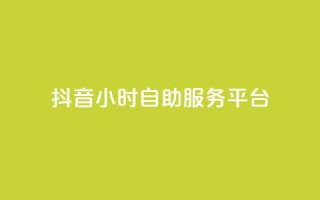 抖音24小时自助服务平台,qq空间点赞最多几个人 - 卡盟平台qq业务 - 24小时秒单官网登录入口