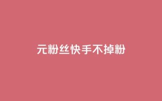 1元3000粉丝快手不掉粉 - 1元在快手增加3000粉丝，轻松不流失!