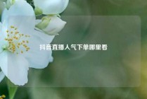 抖音直播人气下单哪里看