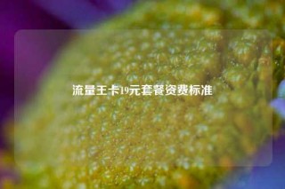 流量王卡19元套餐资费标准