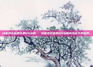 抖音评论业务下单24小时 - 抖音评论业务24小时内完成下单服务。