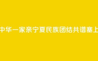 【铸牢共同体 中华一家亲】宁夏：民族团结 共谱塞上江南新篇章